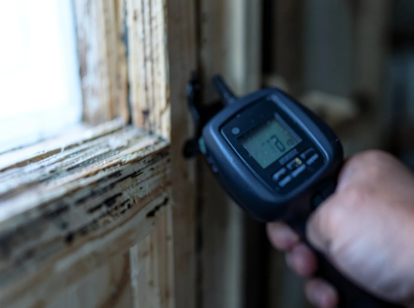 Moisture Inspection And Documentation in Mcroberts, KY